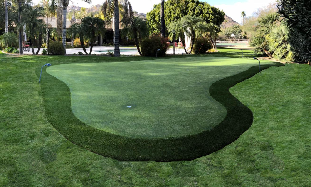 turf365 || turf 365 || turf365 prono
